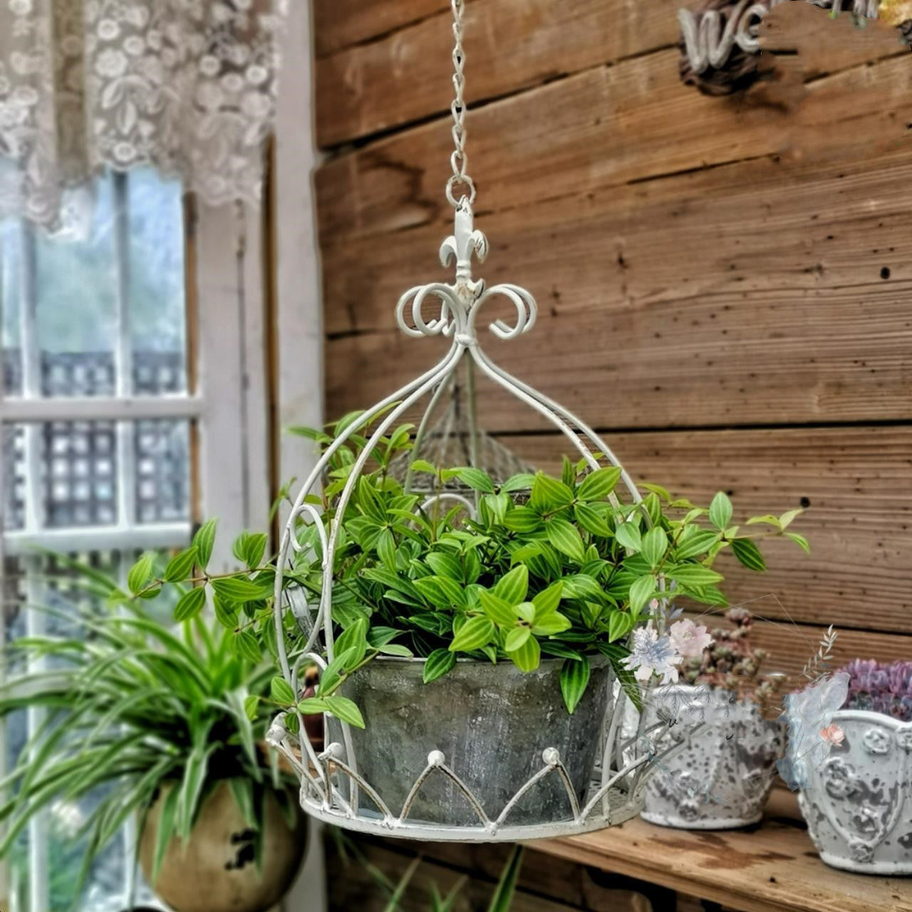 Wrought Iron Hanging Basket for Garden and Balcony
