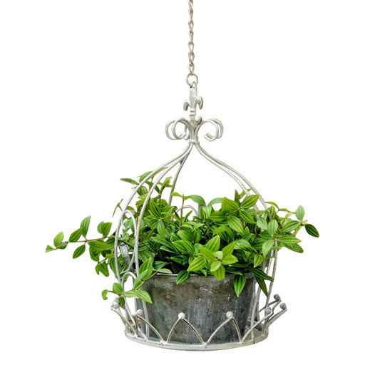 Wrought Iron Hanging Basket for Garden and Balcony