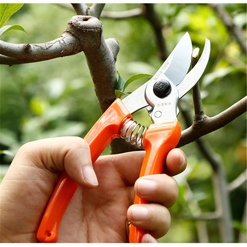 Heavy-Duty Pruning Shears Set