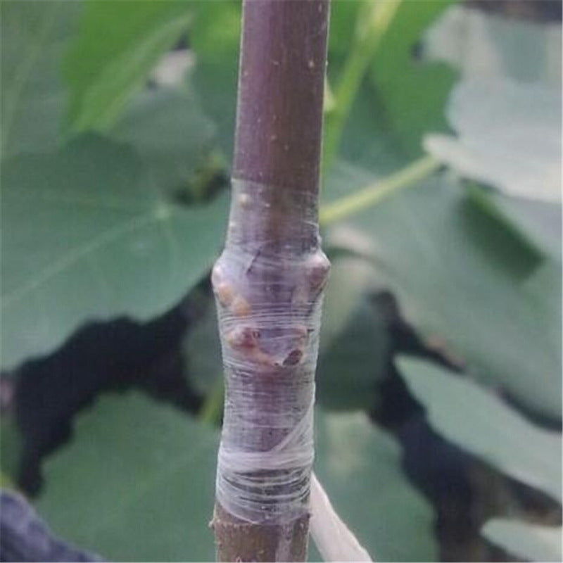 grafting tape