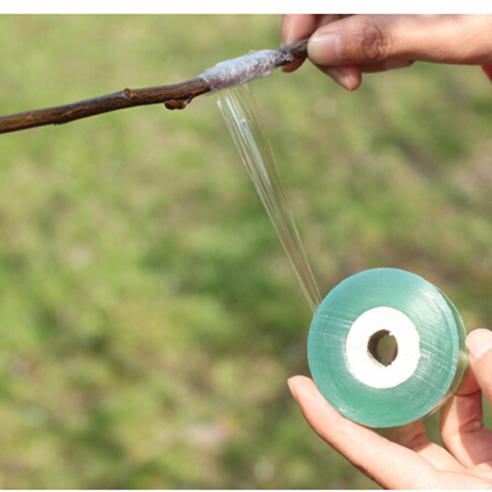 grafting tape
