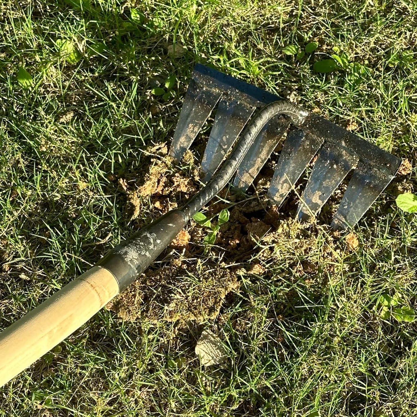 Heavy-Duty Weeding Rake for Effortless Gardening